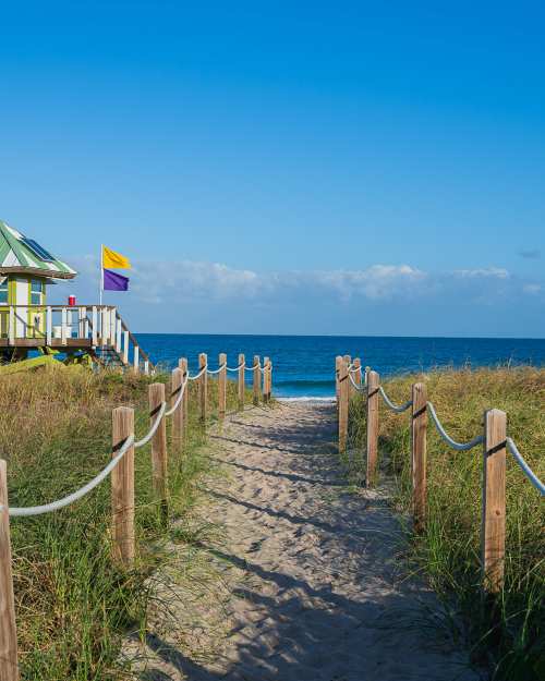 Sea turtles adventures